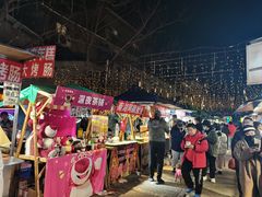 -南湖公园地摊集市