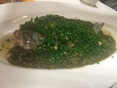 烧椒鲈鱼-尘香•传统川菜(创汇首座店)