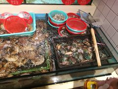 -日进一片海.生腌海鲜火锅.宵夜烧烤(三里屯总店)