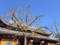 -龙华素斋(龙华路店)