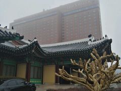 -新罗免税店(首尔总店)