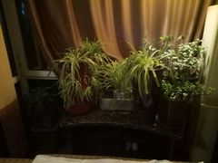 -孙三拨按摩(大纺店)