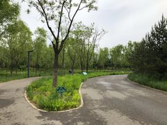 -东郊湿地公园