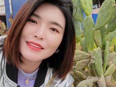 -广东惠东海龟国家级自然保护区