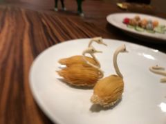 -惠州白鹭湖雅居乐喜来登度假酒店-采悦轩中餐厅