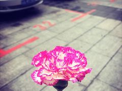 -星巴克(重庆上海城店)