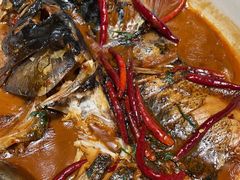-食为先庐畔渔歌(合作化路店)