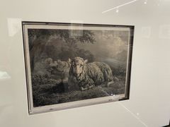 -湖北省美术院美术馆