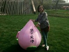 -田园东方蜜桃村的田野营地