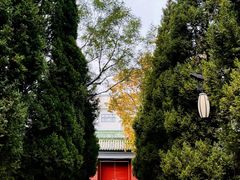 -月坛公园