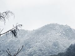 -四明山国家森林公园