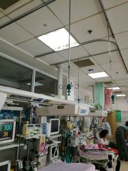 点击看大图 -首都医科大学附属北京儿童医院