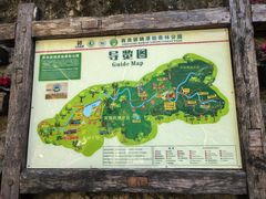 -西双版纳原始森林公园