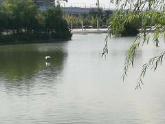 -南京医科大学(江宁校区)