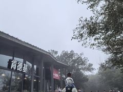-紫金山山顶公园