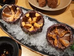活海胆-九州酒场ひこぞう(1号店)