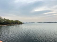 -丁香湖公园