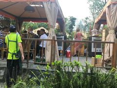 -二荆条·蜀鲜汇城市森林火锅