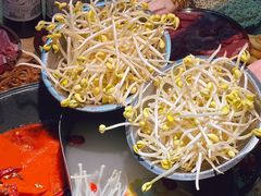 -阳阳老火锅(小南门店)