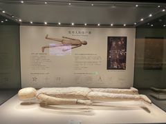 -辽宁省博物馆