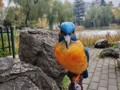 -西安市长乐公园