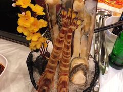 -鲜入围煮花胶鸡海鲜火锅