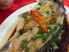 清蒸鲫鱼-先鲜鲫鱼粥