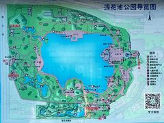 -莲花池公园