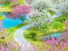 -花开海上生态园