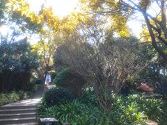 -七彩云南古滇温泉山庄