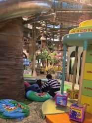 -卡通尼·Safari非洲探索乐园·生日会(金桥国际商业广场店)