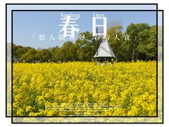-大宁公园