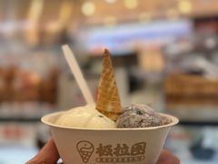 -极拉图·现制冰淇淋(大卫城店)