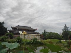 -大佛禅院