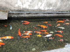 -前童古镇
