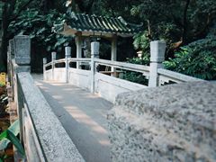-广州兰圃