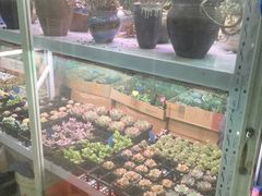 -无锡文化工艺品市场(槐古路店)