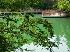 -桃花岭景区