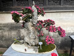 -惠山古镇·寄畅园