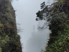 -峨眉山风景名胜区