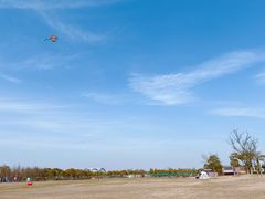 -春花秋色城市公园