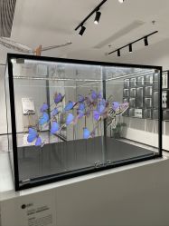 -酷嗒动物文化乐园(cutezoo西溪乐天城店)