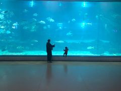 -福州罗源湾海洋世界旅游区