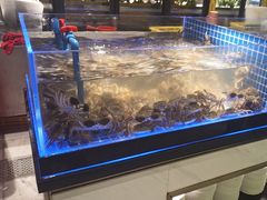 -锅儿欢海鲜火锅烤肉自助餐(东港凯虹店)