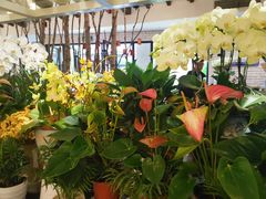 -春暖花开(西溪店)