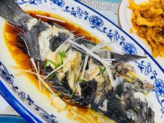 油泼黑头鱼-天伦海鲜·老味道·青岛菜(栈桥天主教堂店)