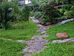 -广州神农草堂中医药博物馆