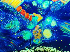 -天津梵高星空艺术馆(天河城旗舰店)