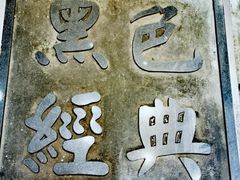 -黑色经典臭豆腐·湖南特产(太平街口店)