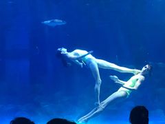 -华夏文旅海洋公园